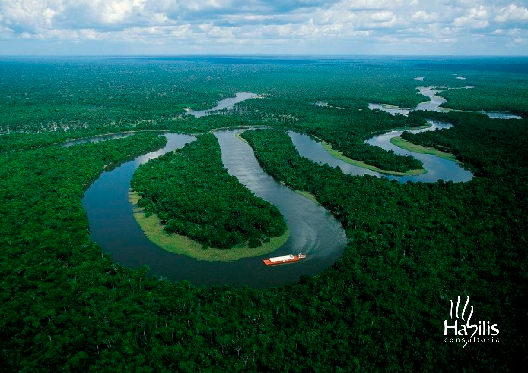 Blog Dia da Amazônia